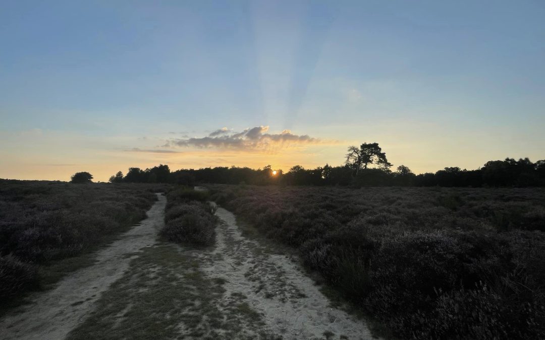 An Essential Mineral for a Healthy Life