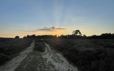 An Essential Mineral for a Healthy Life