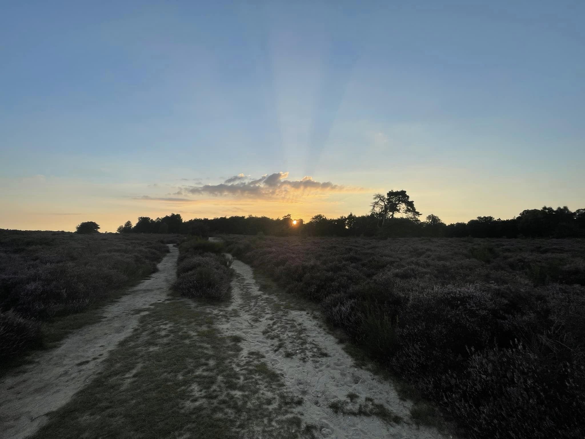 368024120_6818337018209758_173957615408083915_n zonsondergang op de heide